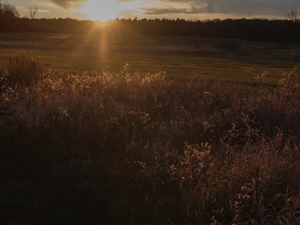 Middlebury College campus in Vermont